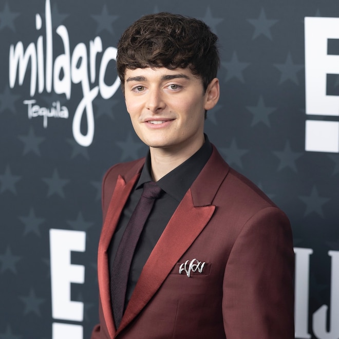 Noah Schnapp Relationship Launch